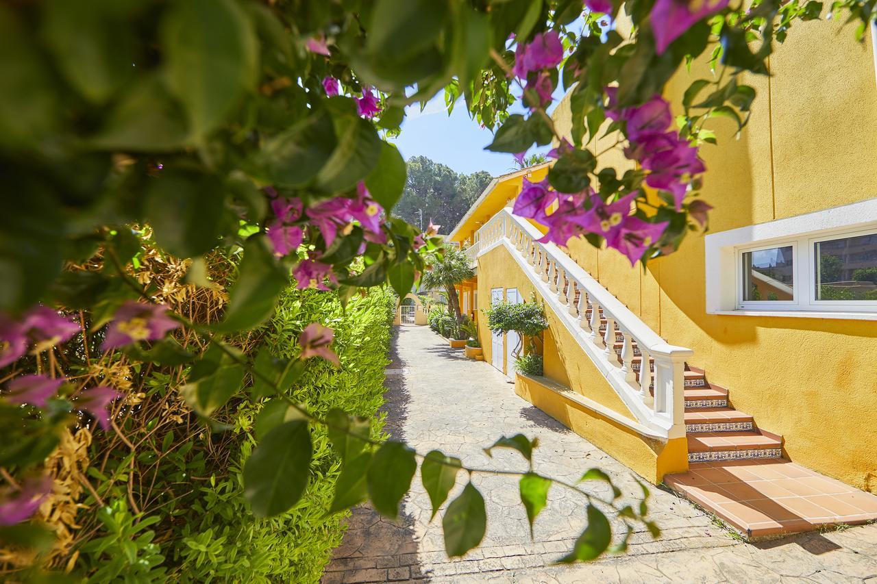 Hotel Cupidor ปาเกรา ภายนอก รูปภาพ